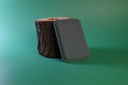 cardholder with magnet on green background