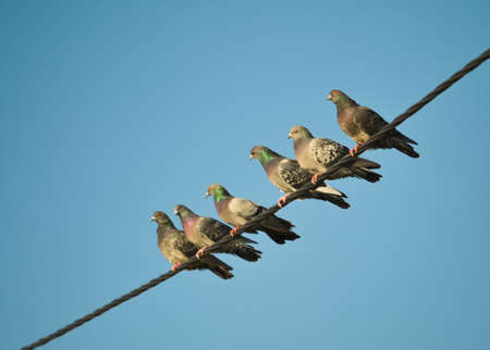 A young man in camouflage and a backpack in the mountainsの写真素材