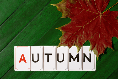 The inscription Autumn on a green wooden cover with dry red maple leafの写真素材