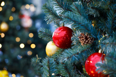 Red glass balls on a Christmas tree are largeの写真素材