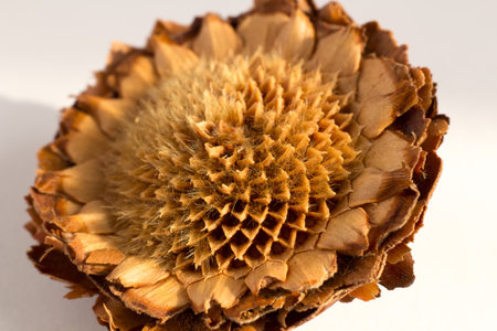 wooden flowerの写真素材