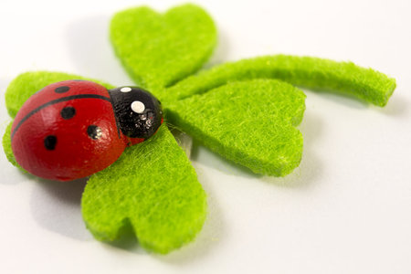 ladybird on green quarterfoil