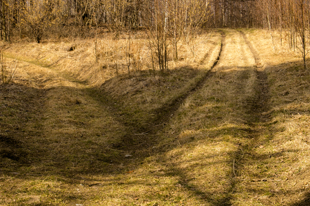 two ways into the forestの写真素材