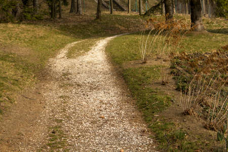 rural road into the forestの写真素材