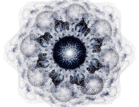 Abstract design of white powder cloudの写真素材