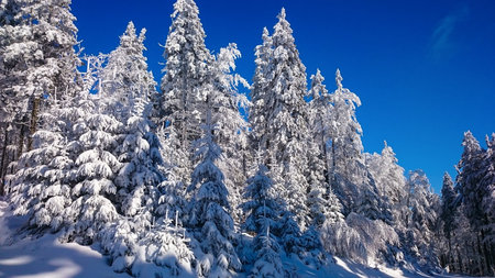 Beautiful winter landscape in mountainsの写真素材