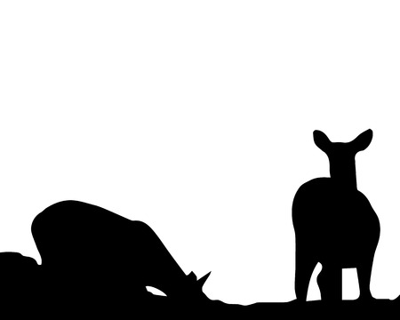 illustration of roe silhouetteのイラスト素材