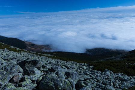 Summer landscape in mountains and the dark blue sky with clouds