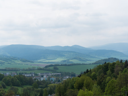 trees in landscape