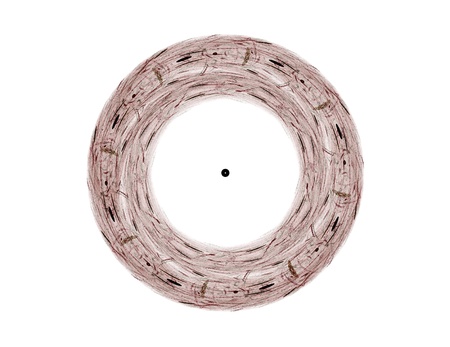 Visually attractive backdrop made of conceptual grids curves and fractal elementsの写真素材