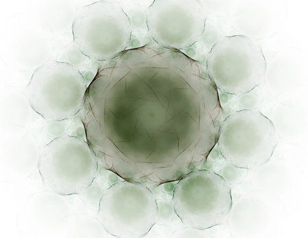 Particles of abstract fractal forms on the subject of nuclear physics