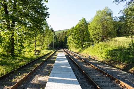 railroad track winding through green summer forestの写真素材