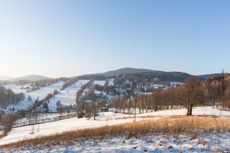 Fir trees covered with snow on a winter mountain