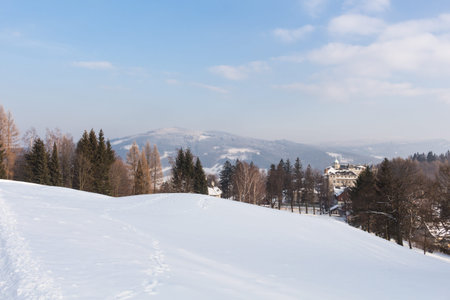 Winter mountain trees on winter mountain background landscape. Ski tracksの写真素材