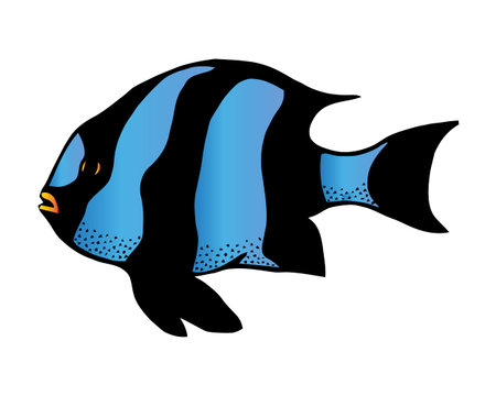 Coral reef tropical fish vector illustration. Vector sea fish isolated on white background. Aquarium...