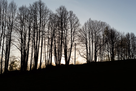 Autumn landscape with autumn trees in the park. Autumn nature -yellowed autumn park in autumn sunny weather. Picturesque autumn view of autumn park. Soft focus applied. Autumn nature in sunlightの写真素材