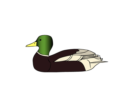 Duck icon illustration isolated on white background sign symbol. Duck vector logo. Flat design style. Modern vector pictogram for web graphicsのイラスト素材