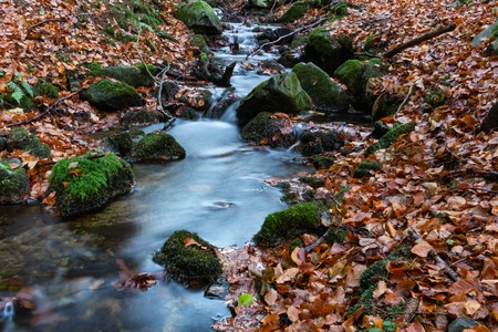 Magical forest waters with wide angle long exposure capture, also available in autumnの写真素材
