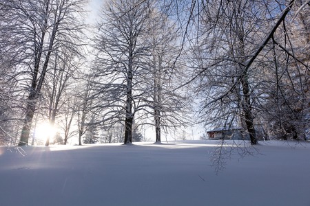 Majestic sunset in the winter mountains landscape. Dramatic sky.の写真素材
