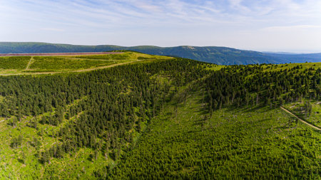 Aerial view of the beautiful mountain landscape with mountain peaks covered with forest and a cloudy...