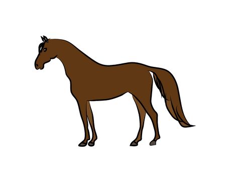 Drawing of brown horse on a white background. Sketch, drawing by hand.のイラスト素材