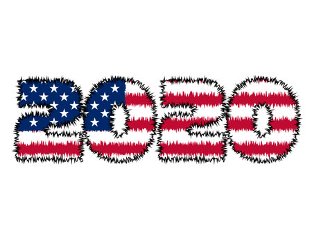 3D 2020 text with American flag inside the text. Vector illustration on white background. USA flag...