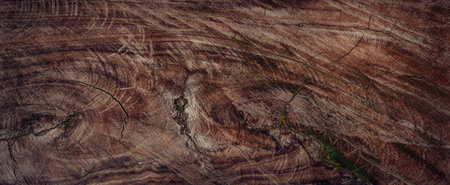 The crack on the surface of the cut wood.