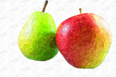 oil painting fruits on white backgroundの写真素材