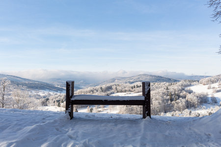 Empty bench in a public park covered with snow in winter.の写真素材
