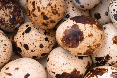 Fresh, farm, raw quail eggs on white background. Protein diet. Healthy diet.