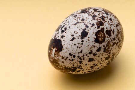 Fresh, farm, raw quail eggs on white background. Protein diet. Healthy diet.の写真素材