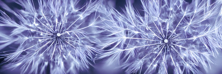 Close up of dandelion spores. abstract background. eco wallpaper. banner size. high quality 3d illustrationの写真素材