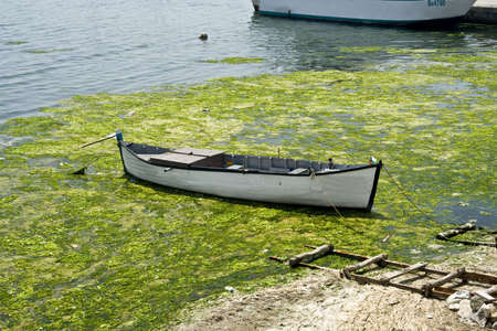 Old ship on the beach, big stones and weedの写真素材