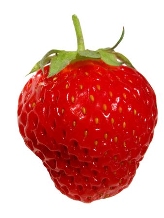strawberry                               の写真素材