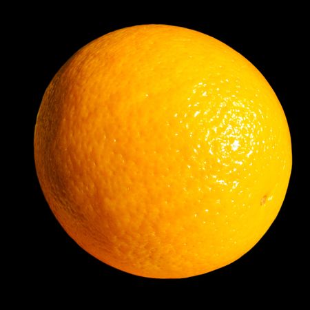 orange                               の写真素材
