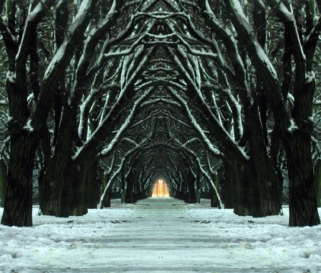mystic winter park                               の写真素材