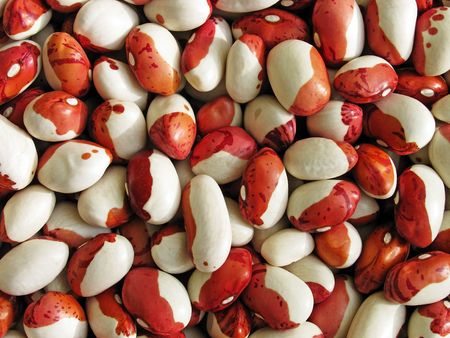 kidney beans                              の写真素材