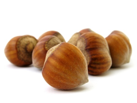  hazel nuts                            の写真素材