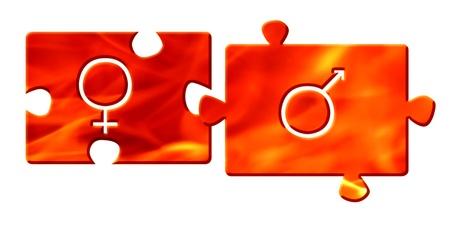 flame color jigsaw puzzle parts with gender signsの写真素材
