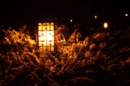 street lantern at winter night in parkの写真素材