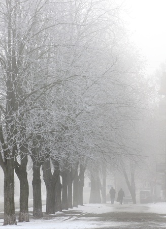 path in town at foggy winter morningの写真素材