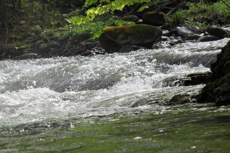 rapids on river in mountains