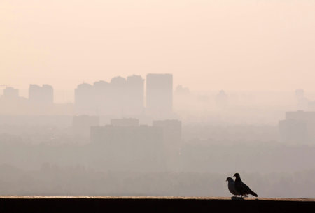 pigeons on fence over view on Kyiv at morningの写真素材