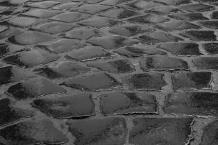 wet cobble stone road in Lvivの写真素材