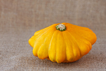 orange custard squash on burlap backgroundの写真素材