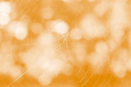 orange halloween background: close up of cobweb against bokeh circles