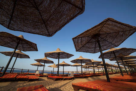 view on sunshades on beach in resort in Egyptの写真素材