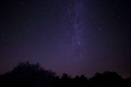 view on starry night sky with Milky Way galaxy above treesの写真素材