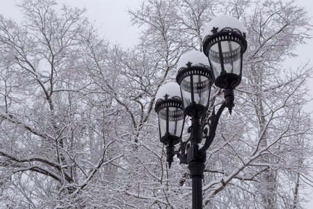 close up of lantern in park at winter dayの写真素材