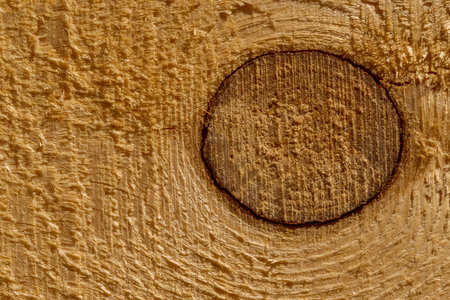 close up of rough wooden board texture with round place from boughの写真素材